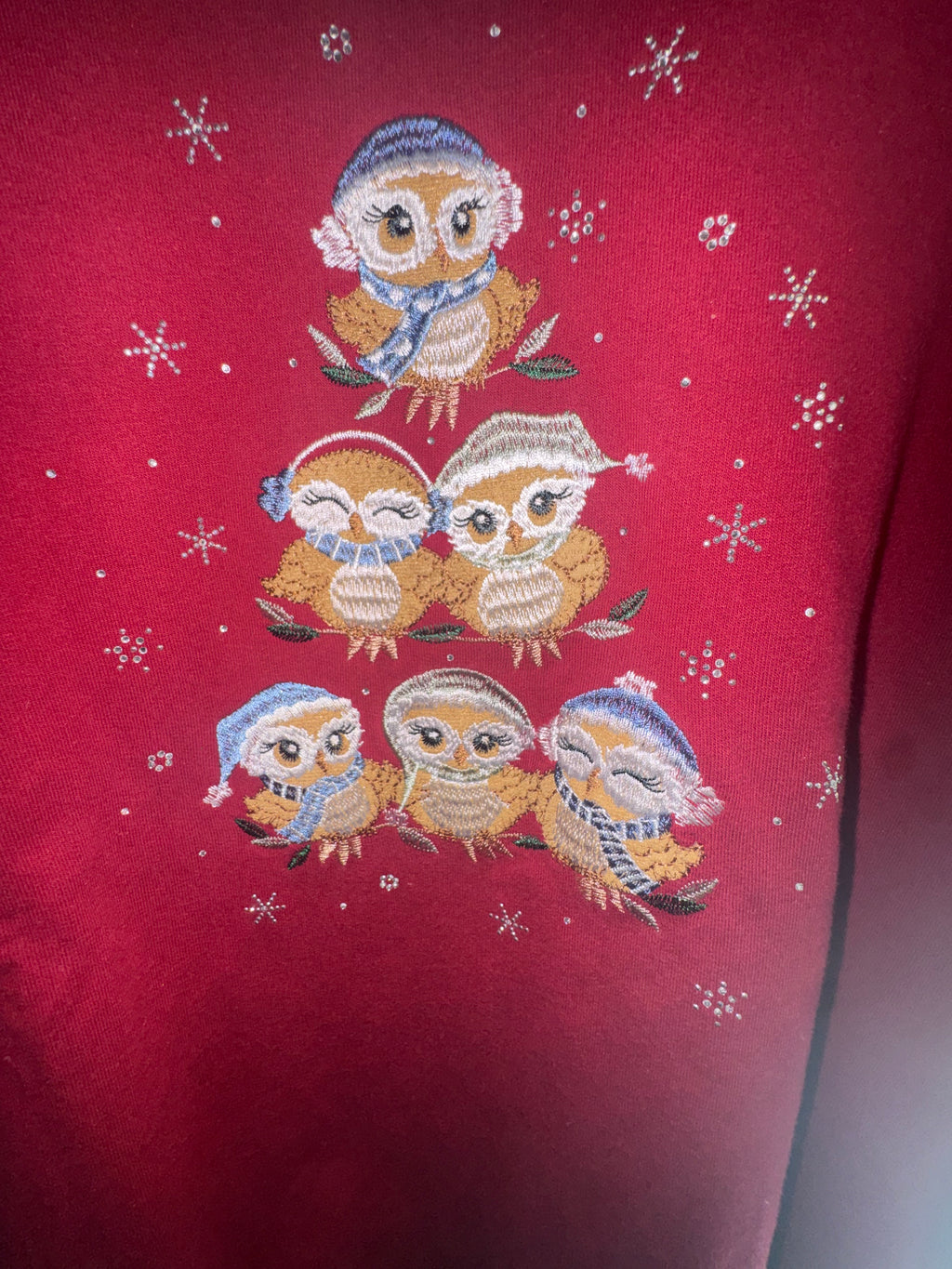 Morning Sun Red Embroidered Christmas Owl Sweatshirt