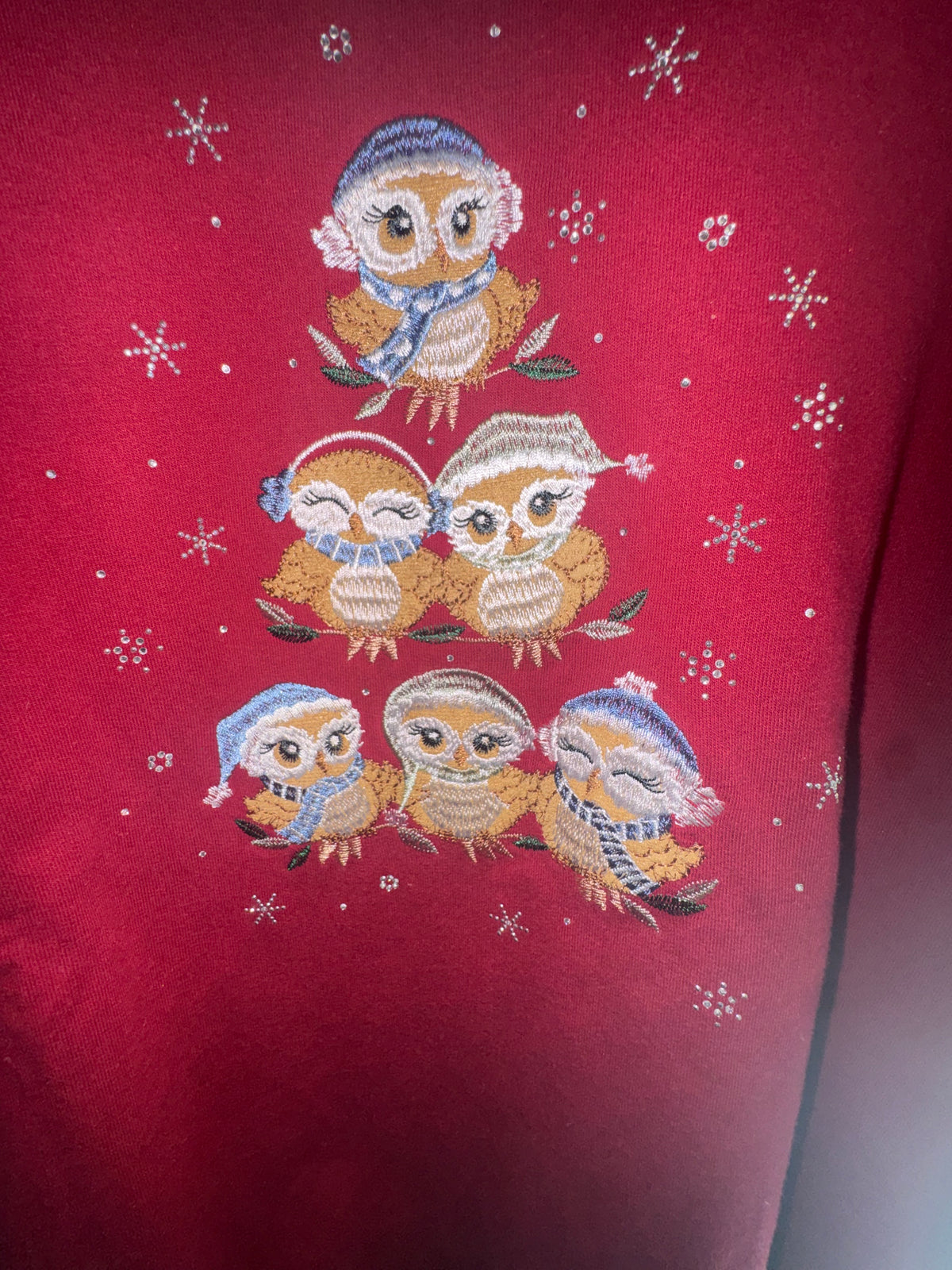 Morning Sun Red Embroidered Christmas Owl Sweatshirt
