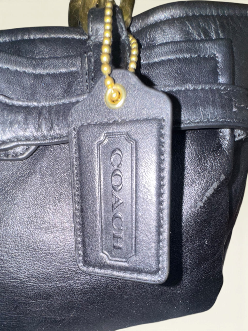 Coach Chelsea Jayden Carryall Shoulder Bag