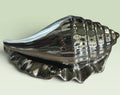 Silver Ceramic Conch Shell Décor
