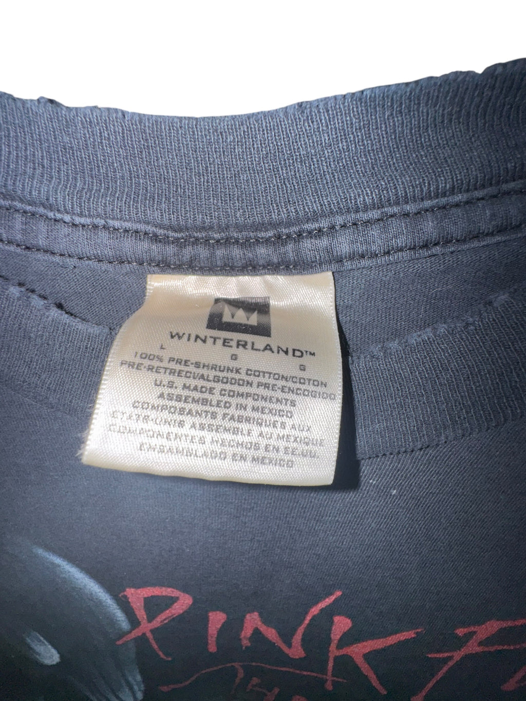 Pink Floyd The Wall Winterland Black Graphic Tee