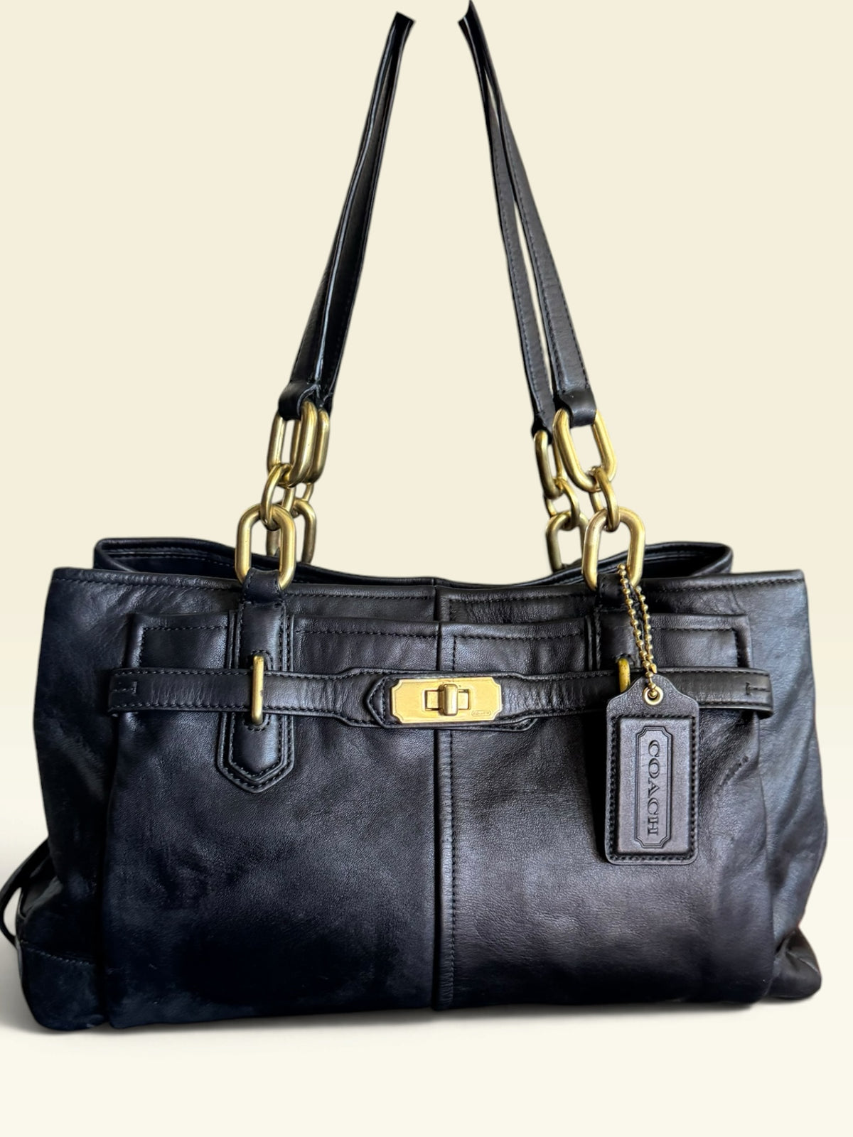 Coach Chelsea Jayden Carryall Shoulder Bag