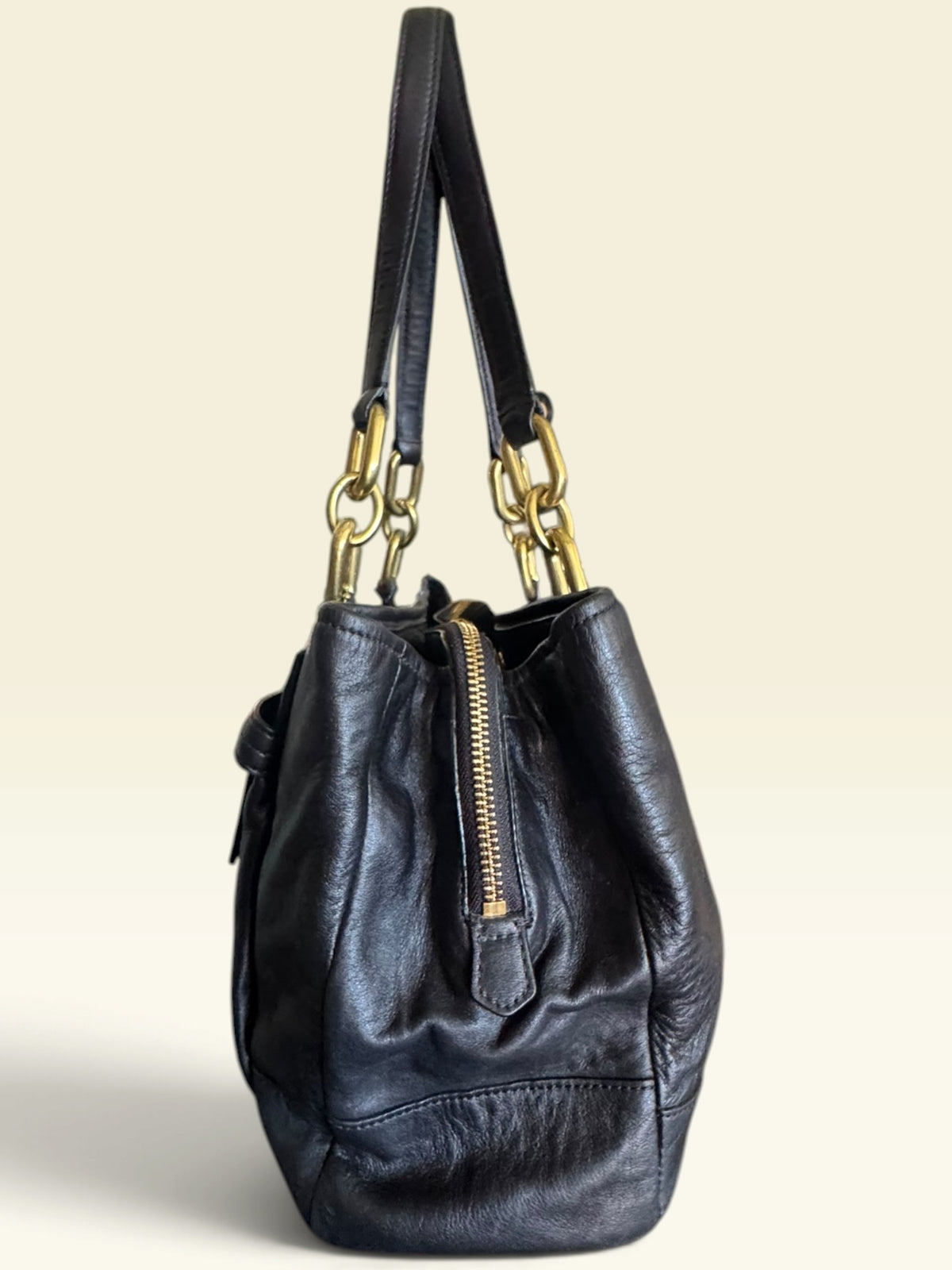 Coach Chelsea Jayden Carryall Shoulder Bag