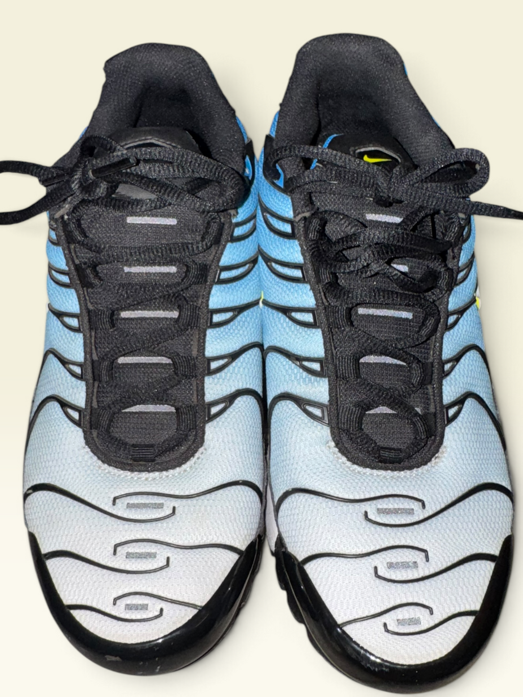 Nike Air Max Plus Blue & Black Sneakers