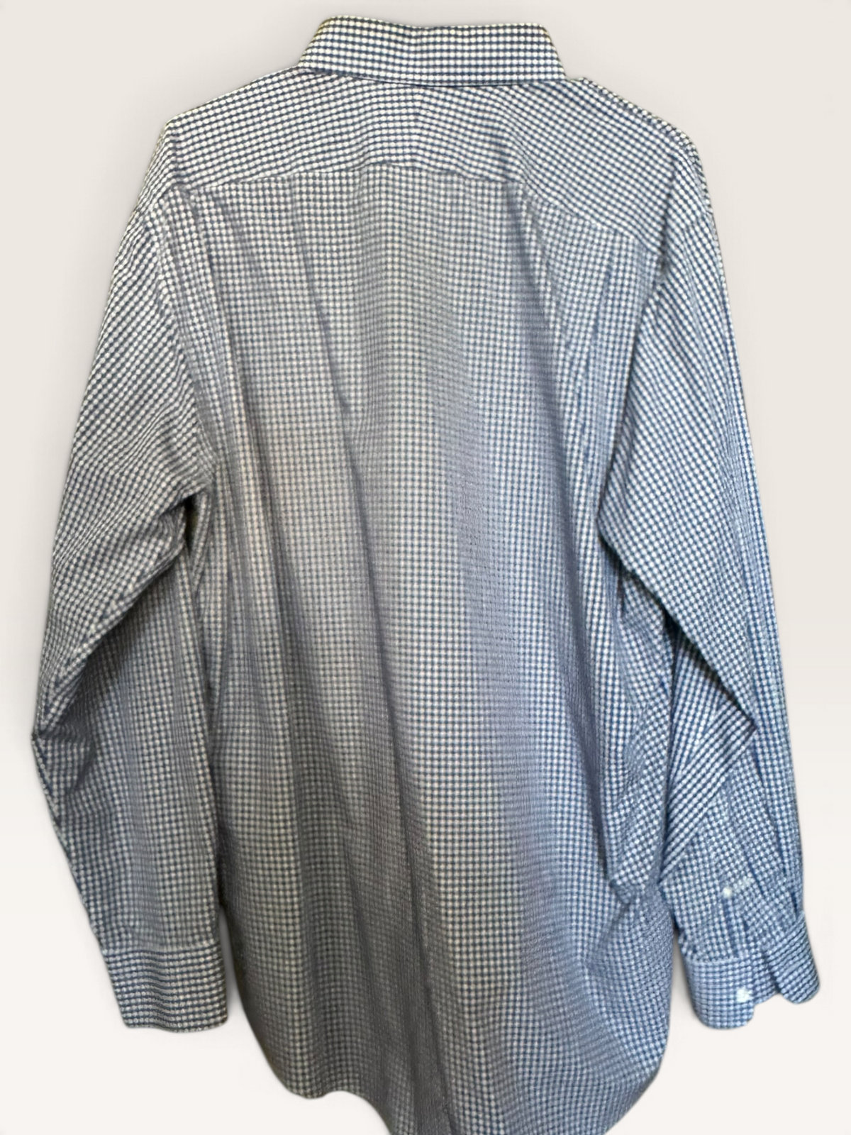 Nordstrom Men’s Shop Blue & White Gingham Shirt