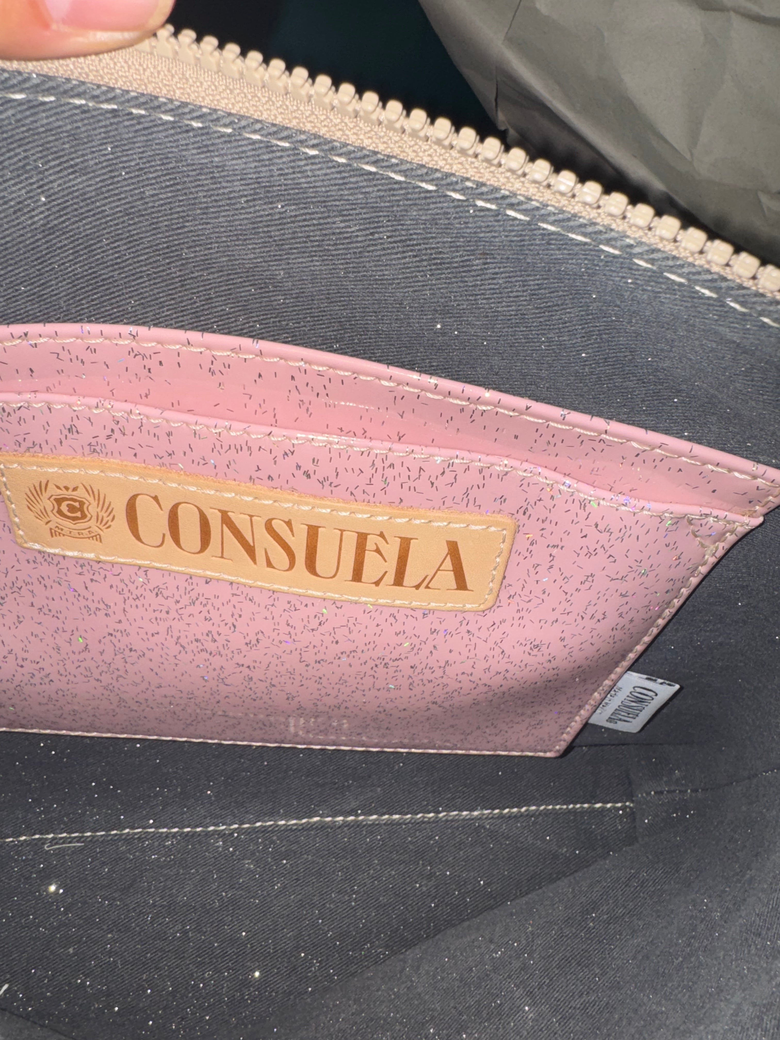 SOPHIE DOWNTOWN CROSSBODY (NWT)