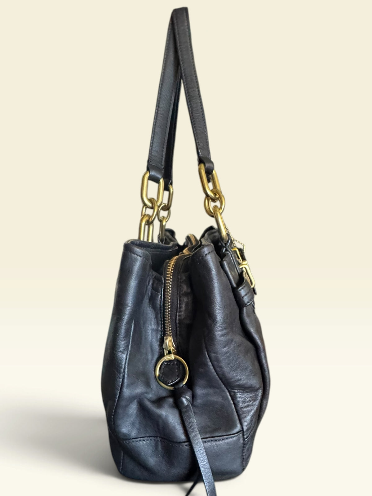 Coach Chelsea Jayden Carryall Shoulder Bag