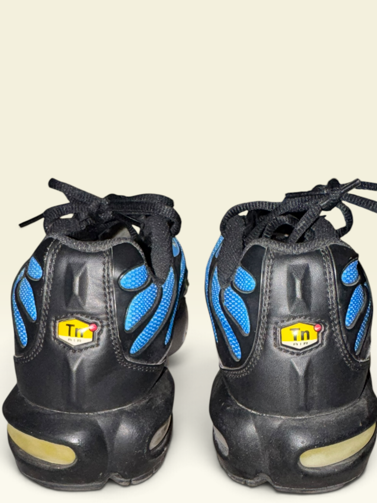 Nike Air Max Plus Blue & Black Sneakers