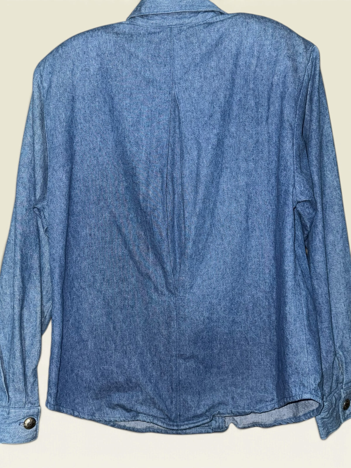 Patricia Wolf Buffalo-Art Denim Western Shirt