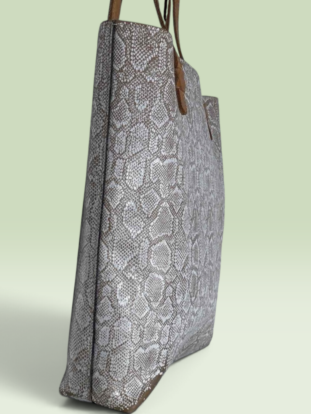 Consuela Clay Neutral Snakeskin Leather Everyday Tote