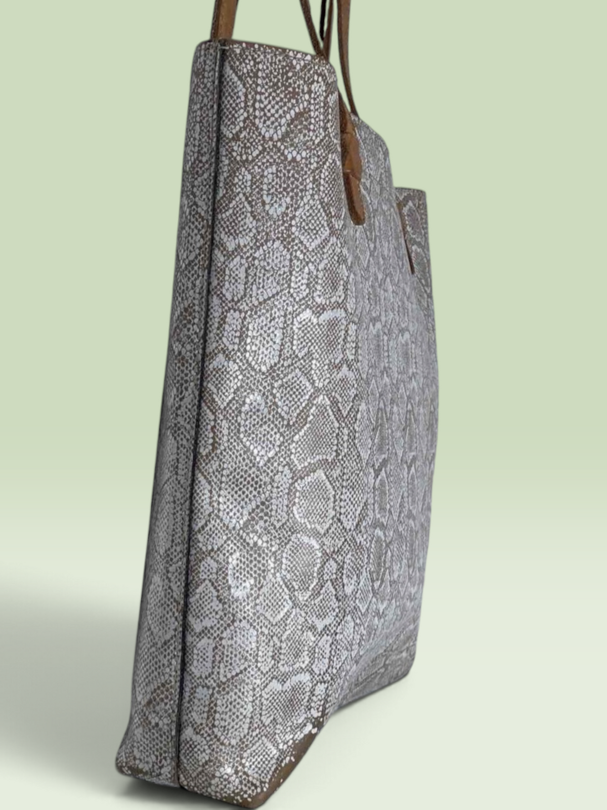 Consuela Clay Neutral Snakeskin Leather Everyday Tote