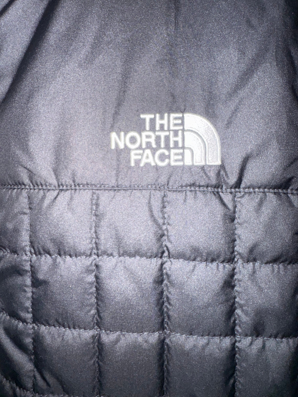 The North Face Black Quilted Full-Zip Vest