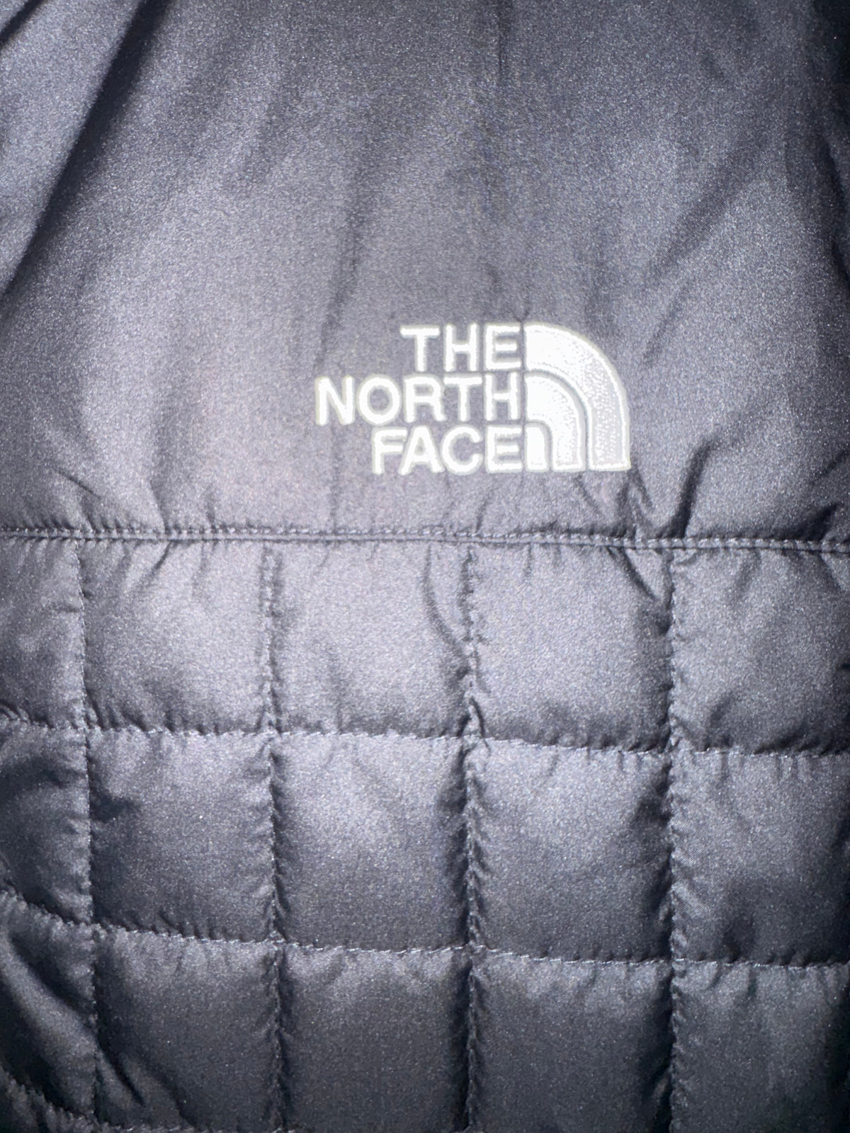 The North Face Black Quilted Full-Zip Vest