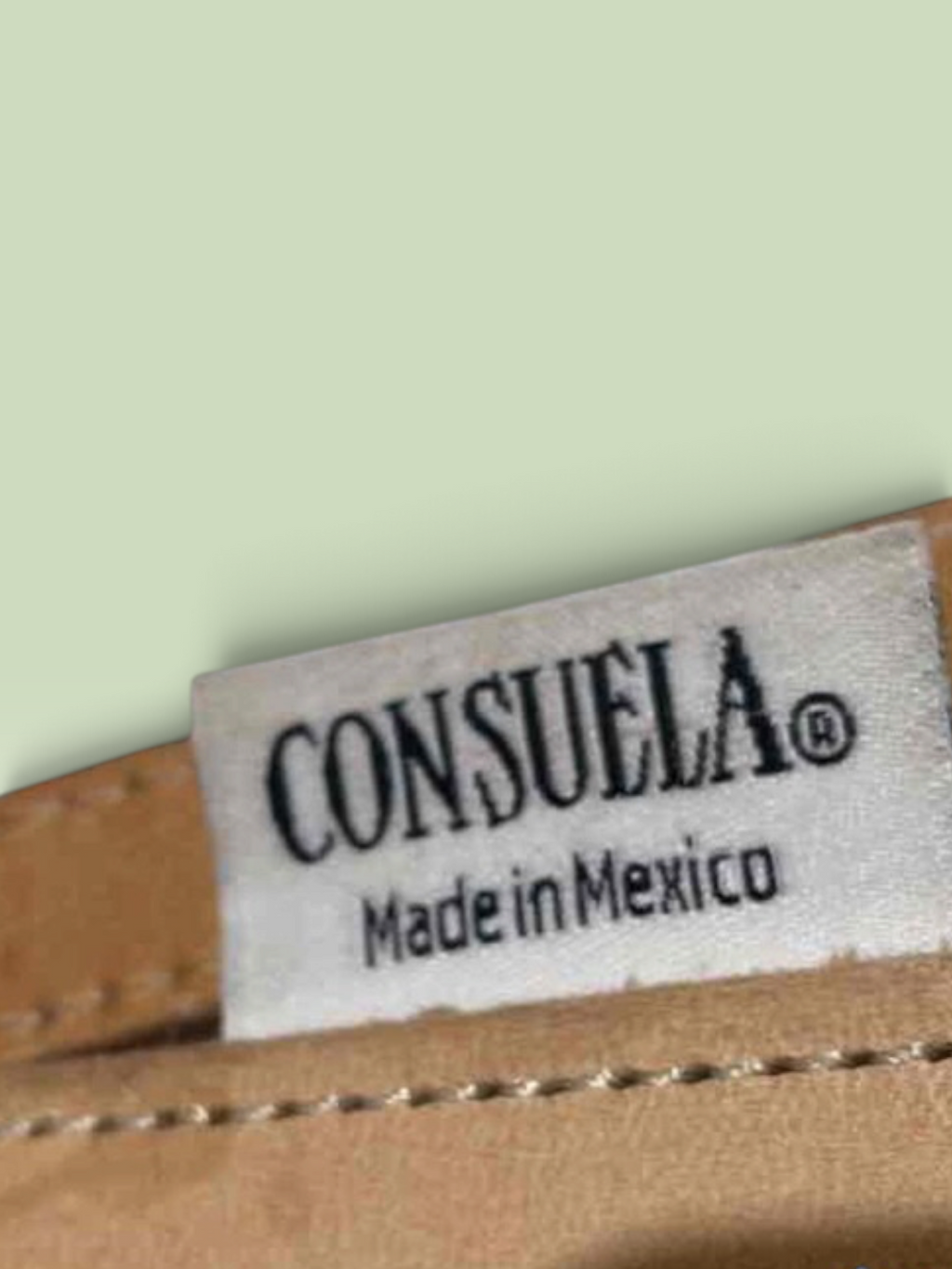 Consuela Clay Neutral Snakeskin Leather Everyday Tote