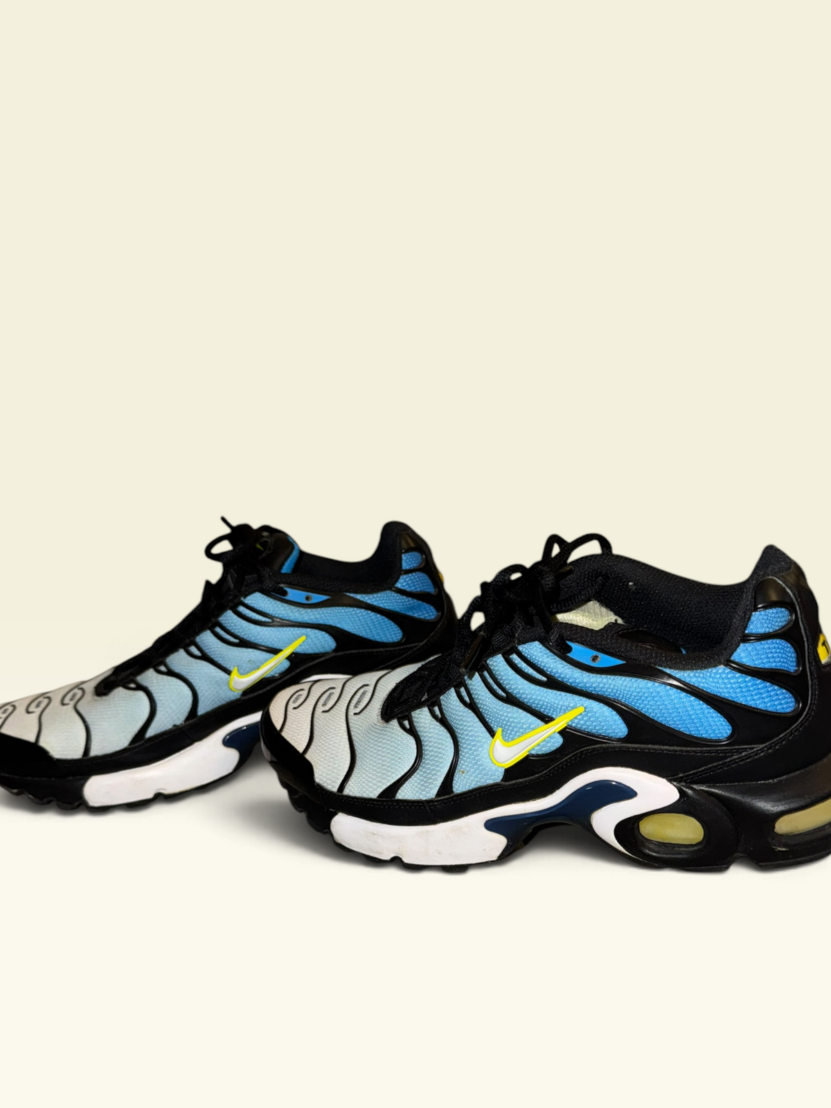 Nike Air Max Plus Blue & Black Sneakers