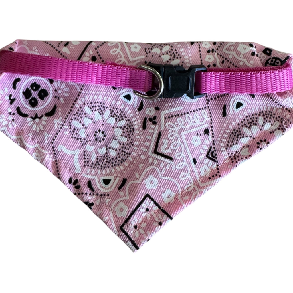 Vibrant Pink Paisley Bandana Dog Collar