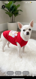 Hello Kitty Pet Tee 🎀🐾