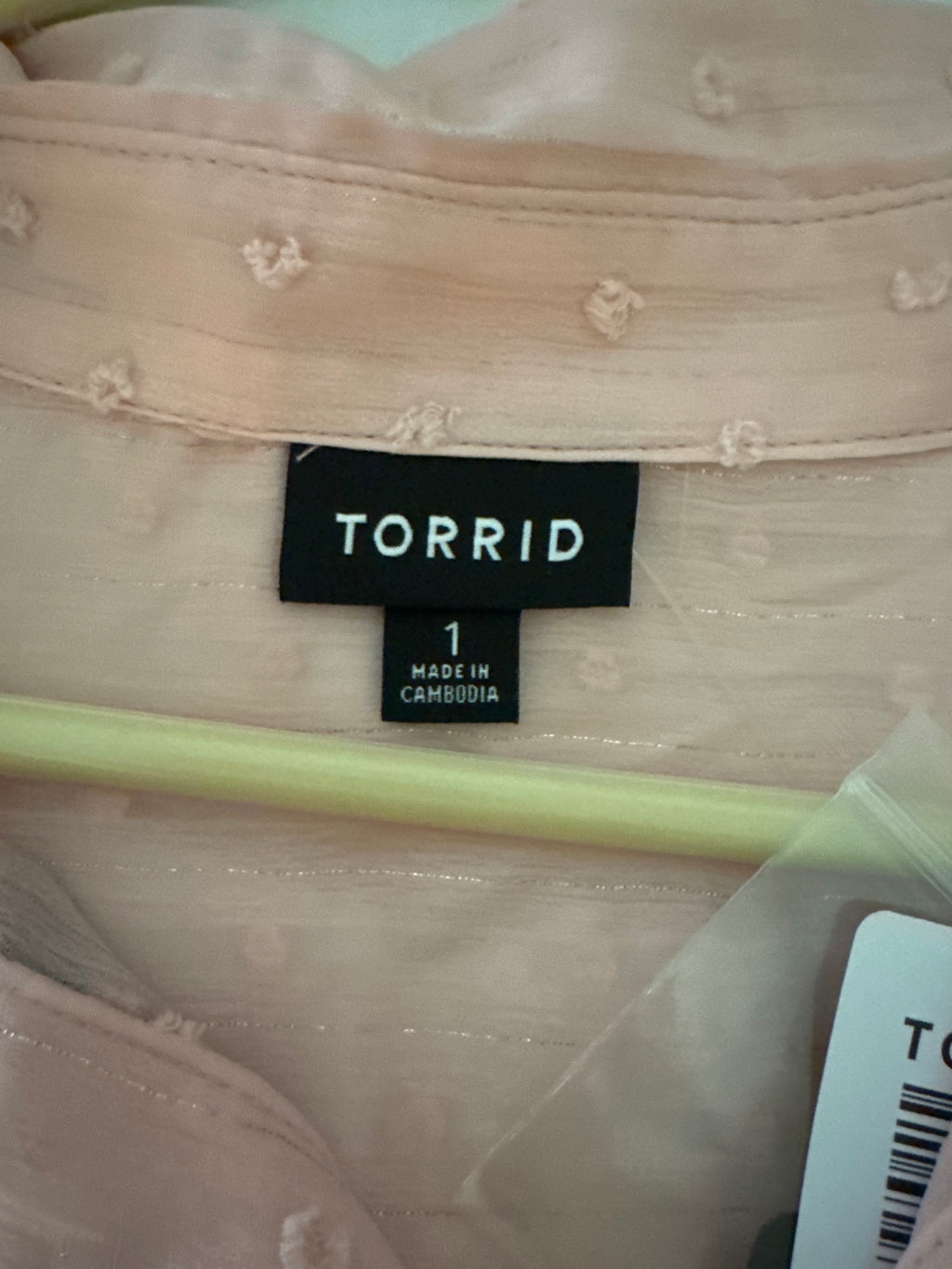 Torrid Blush Swiss Dot Blouse