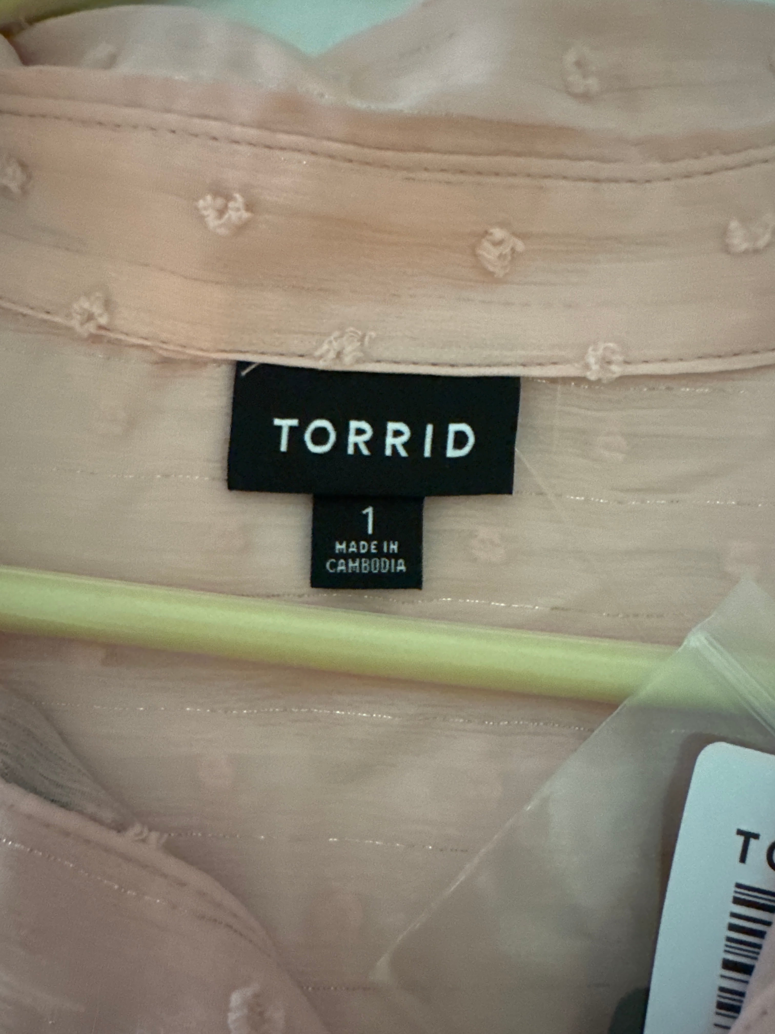 Torrid Blush Swiss Dot Blouse